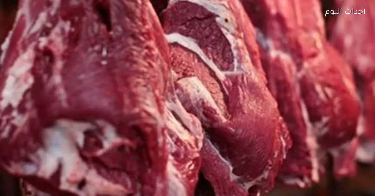 أسعار اللحوم الطازجة ترتفع مع تباين في الأصناف